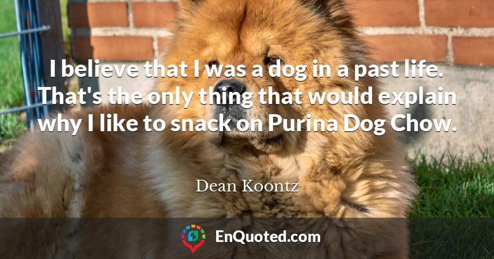 I believe that I was a dog in a past life. That's the only thing that would explain why I like to snack on Purina Dog Chow.