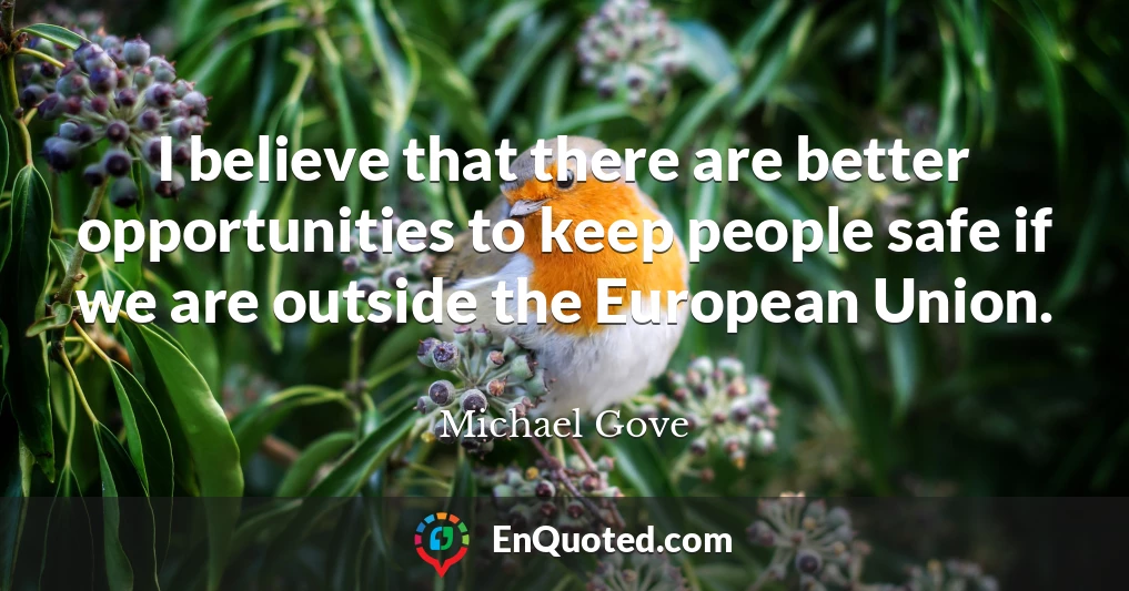 I believe that there are better opportunities to keep people safe if we are outside the European Union.