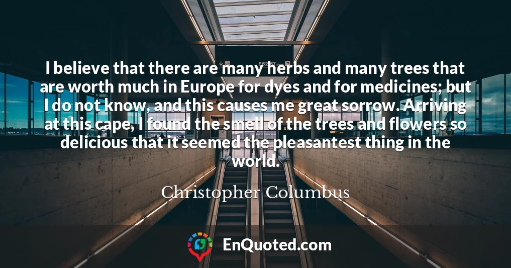 I believe that there are many herbs and many trees that are worth much in Europe for dyes and for medicines; but I do not know, and this causes me great sorrow. Arriving at this cape, I found the smell of the trees and flowers so delicious that it seemed the pleasantest thing in the world.