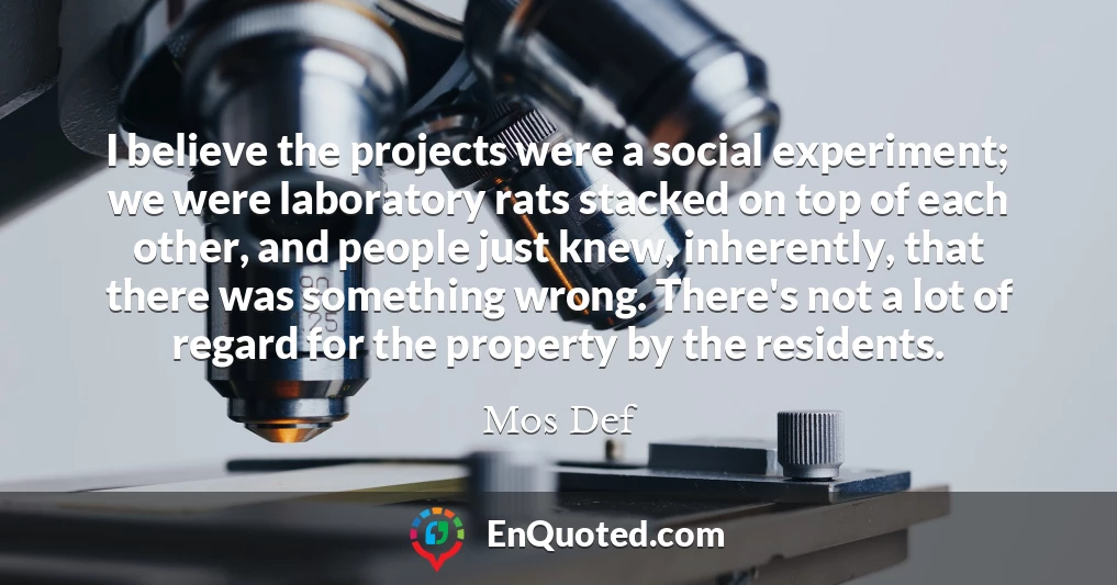 I believe the projects were a social experiment; we were laboratory rats stacked on top of each other, and people just knew, inherently, that there was something wrong. There's not a lot of regard for the property by the residents.