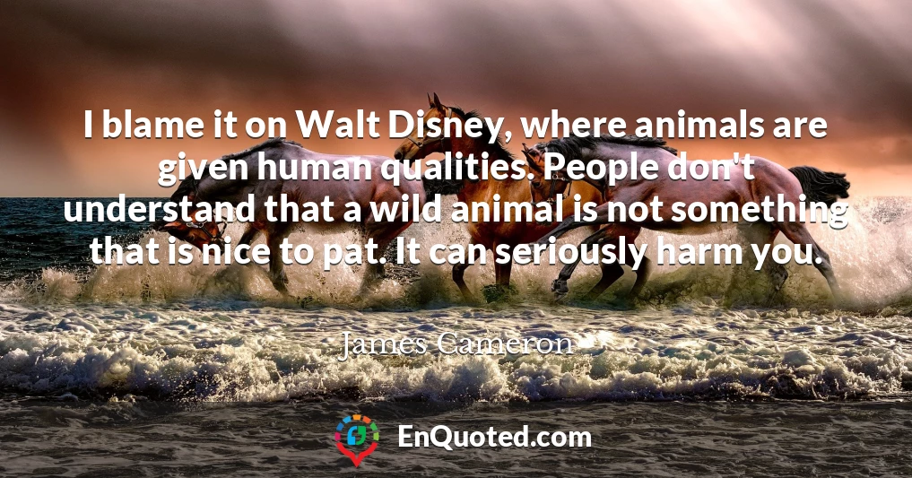 I blame it on Walt Disney, where animals are given human qualities. People don't understand that a wild animal is not something that is nice to pat. It can seriously harm you.