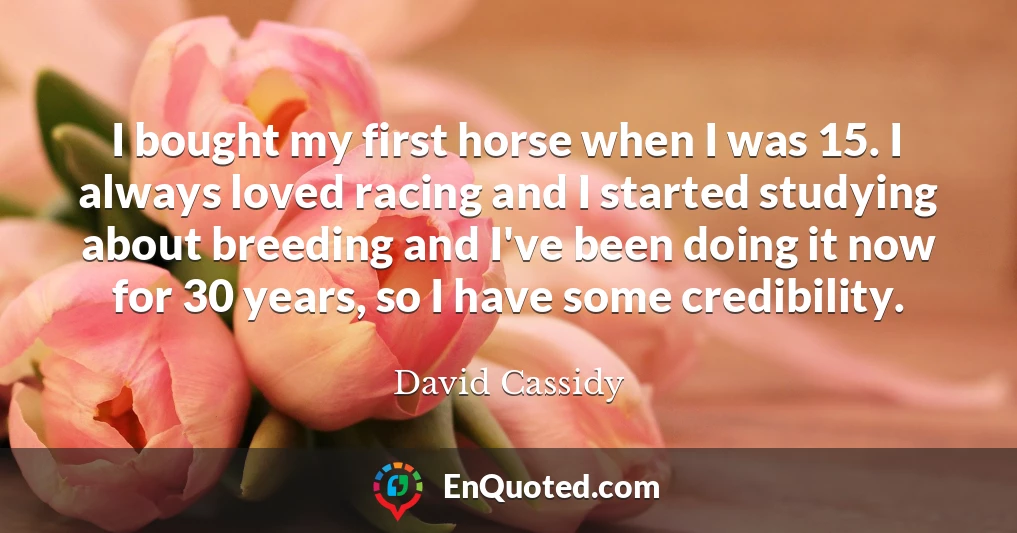 I bought my first horse when I was 15. I always loved racing and I started studying about breeding and I've been doing it now for 30 years, so I have some credibility.