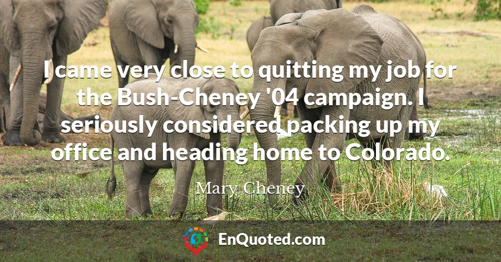 I came very close to quitting my job for the Bush-Cheney '04 campaign. I seriously considered packing up my office and heading home to Colorado.
