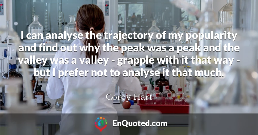 I can analyse the trajectory of my popularity and find out why the peak was a peak and the valley was a valley - grapple with it that way - but I prefer not to analyse it that much.