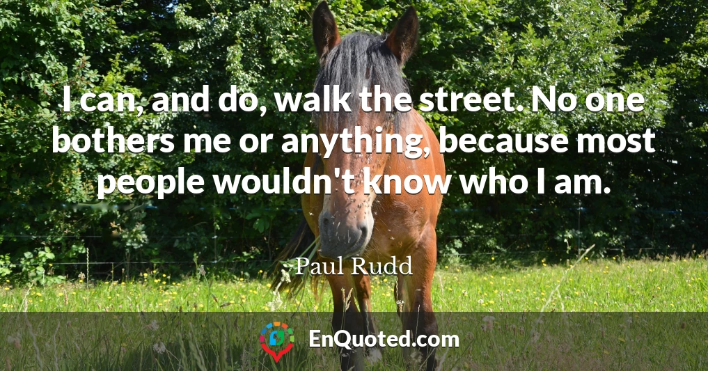 I can, and do, walk the street. No one bothers me or anything, because most people wouldn't know who I am.