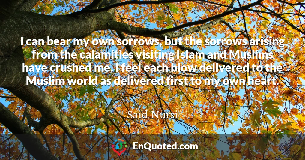 I can bear my own sorrows, but the sorrows arising from the calamities visiting Islam and Muslims have crushed me. I feel each blow delivered to the Muslim world as delivered first to my own heart.