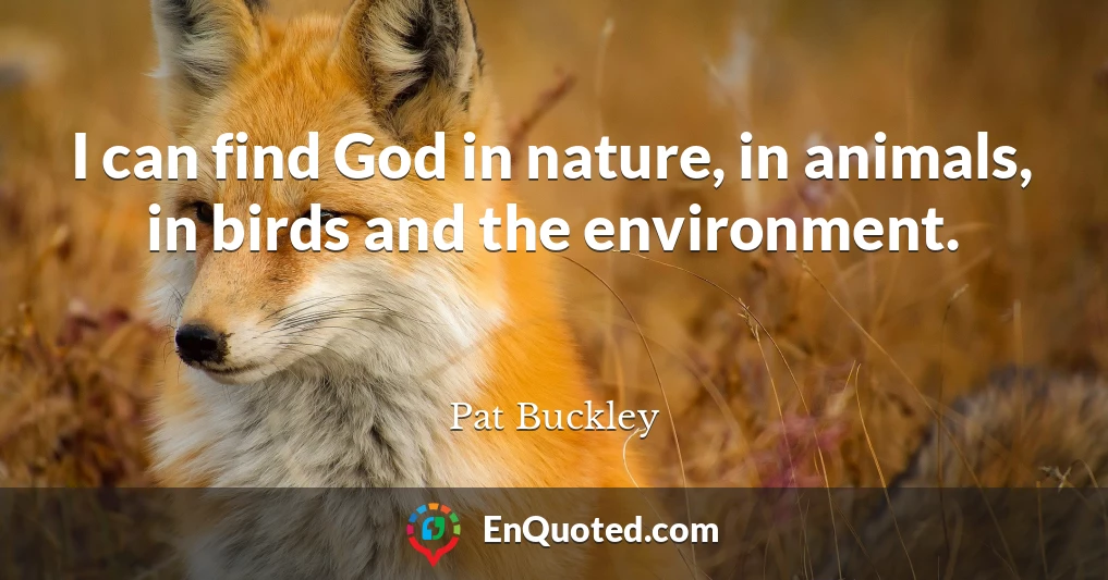 I can find God in nature, in animals, in birds and the environment.
