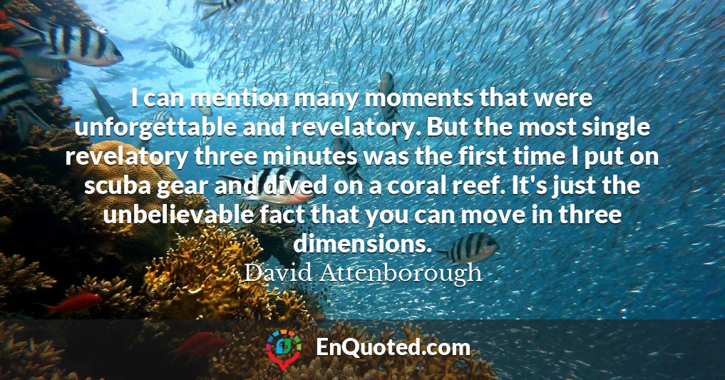 I can mention many moments that were unforgettable and revelatory. But the most single revelatory three minutes was the first time I put on scuba gear and dived on a coral reef. It's just the unbelievable fact that you can move in three dimensions.