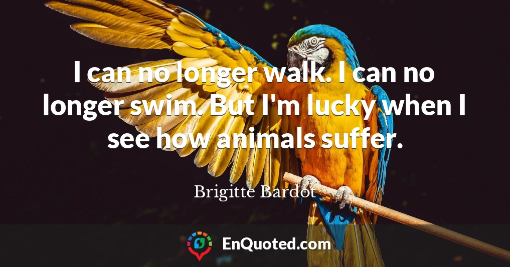 I can no longer walk. I can no longer swim. But I'm lucky when I see how animals suffer.