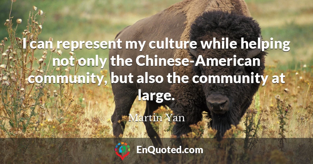 I can represent my culture while helping not only the Chinese-American community, but also the community at large.