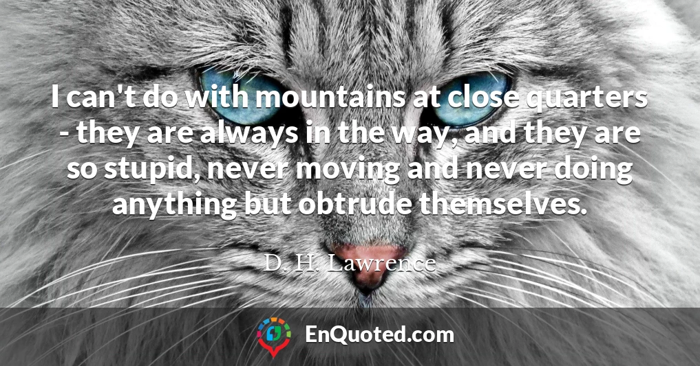 I can't do with mountains at close quarters - they are always in the way, and they are so stupid, never moving and never doing anything but obtrude themselves.