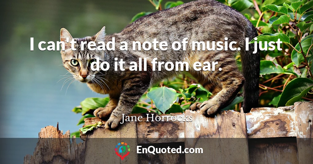 I can't read a note of music. I just do it all from ear.