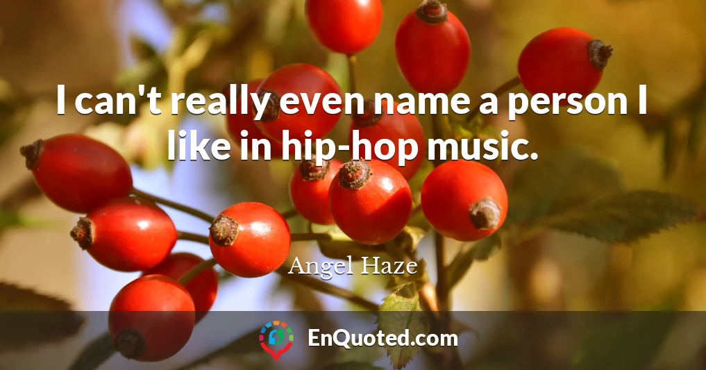 I can't really even name a person I like in hip-hop music.