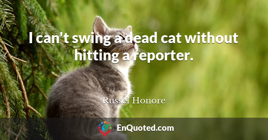 I can't swing a dead cat without hitting a reporter.