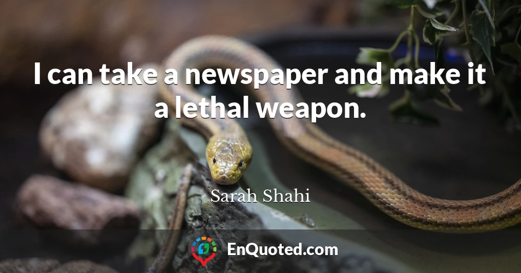 I can take a newspaper and make it a lethal weapon.