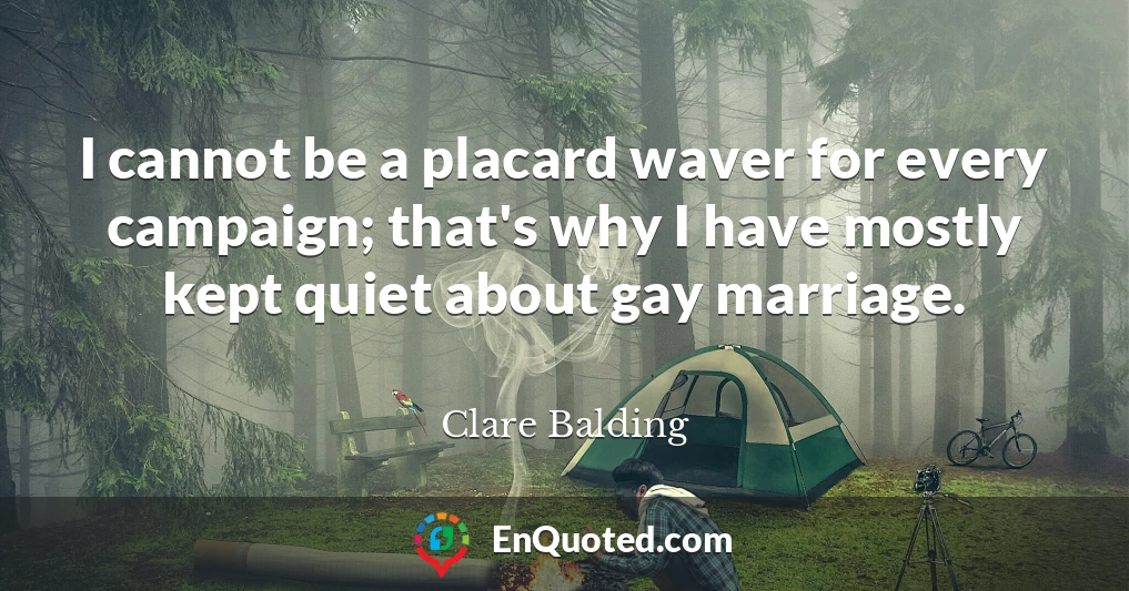 I cannot be a placard waver for every campaign; that's why I have mostly kept quiet about gay marriage.