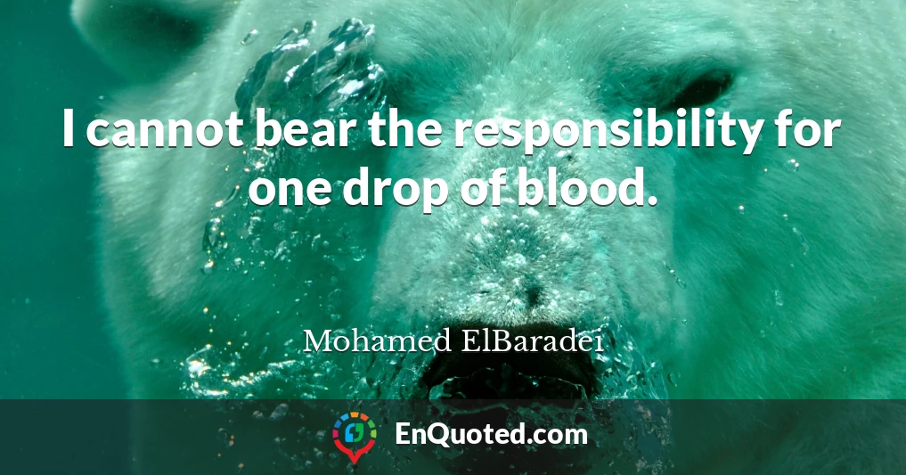 I cannot bear the responsibility for one drop of blood.