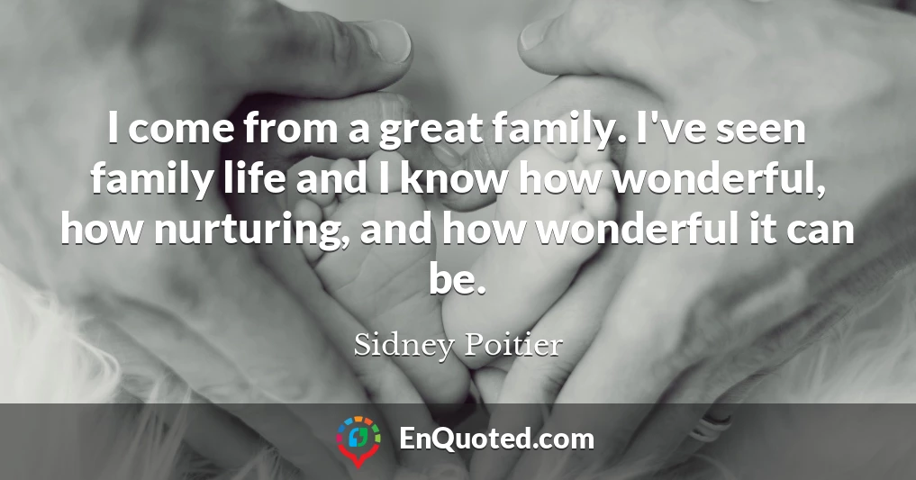I come from a great family. I've seen family life and I know how wonderful, how nurturing, and how wonderful it can be.