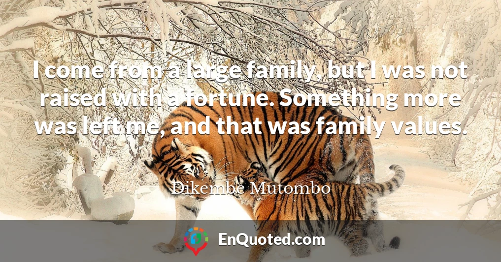 I come from a large family, but I was not raised with a fortune. Something more was left me, and that was family values.