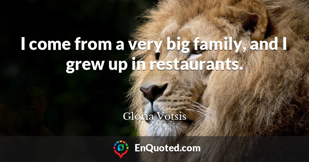 I come from a very big family, and I grew up in restaurants.