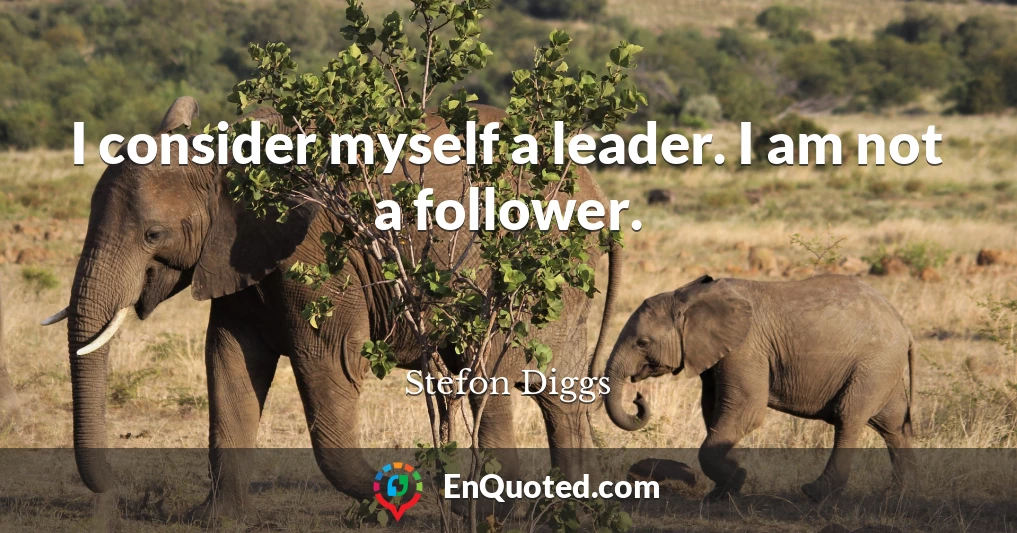 I consider myself a leader. I am not a follower.