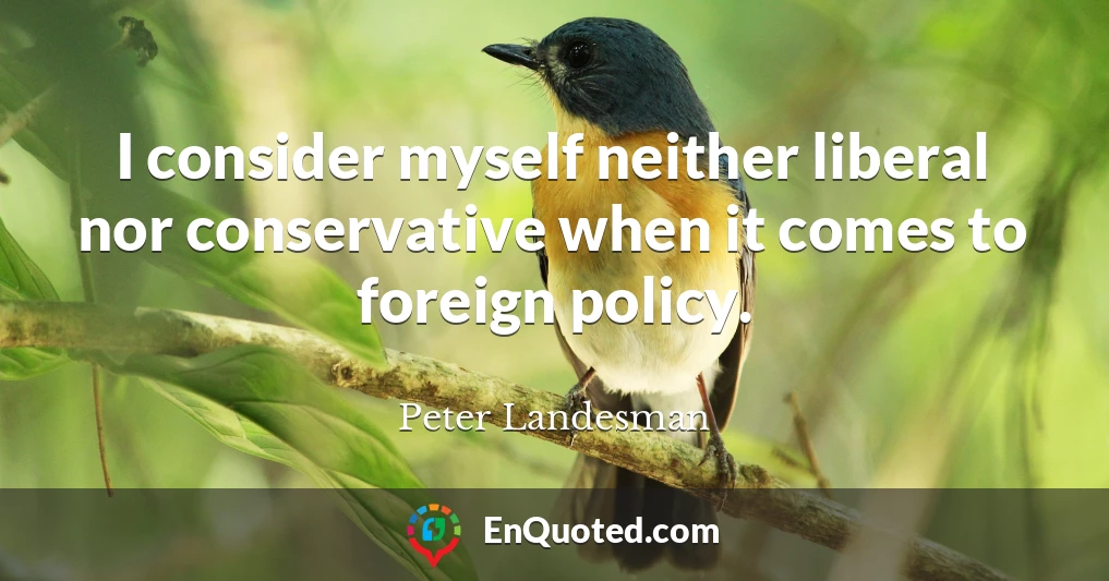 I consider myself neither liberal nor conservative when it comes to foreign policy.