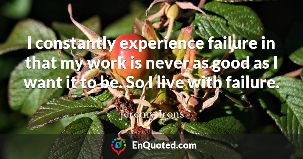 I constantly experience failure in that my work is never as good as I want it to be. So I live with failure.