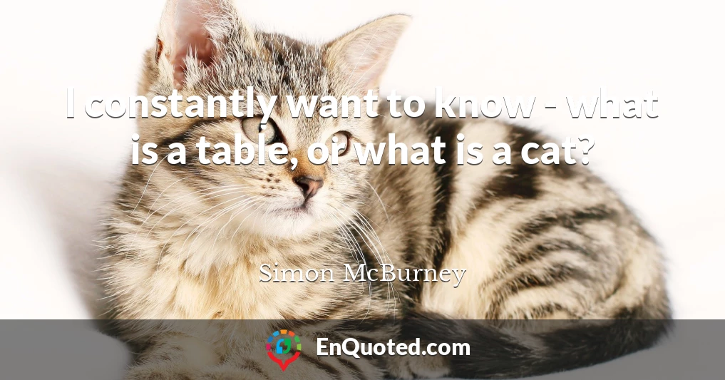 I constantly want to know - what is a table, or what is a cat?