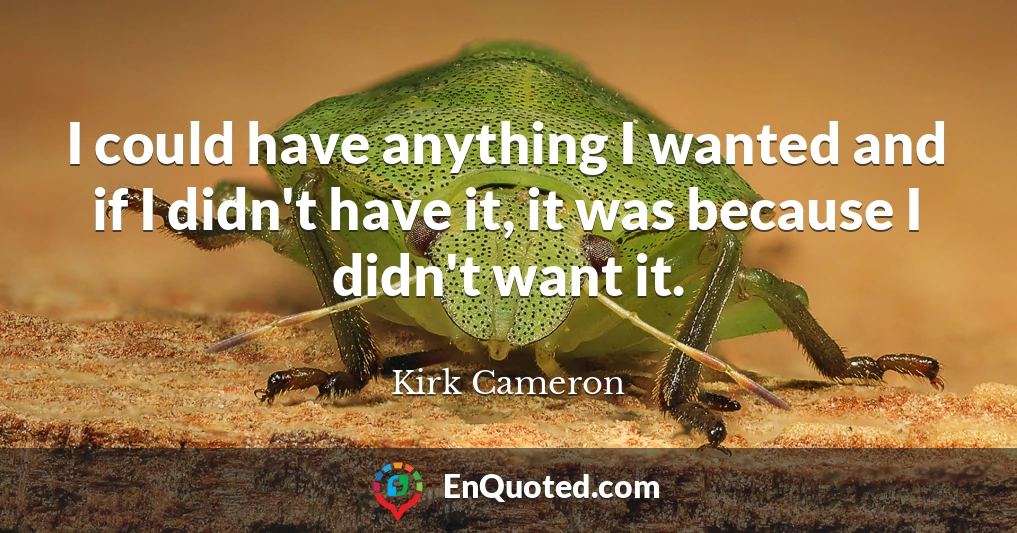 I could have anything I wanted and if I didn't have it, it was because I didn't want it.