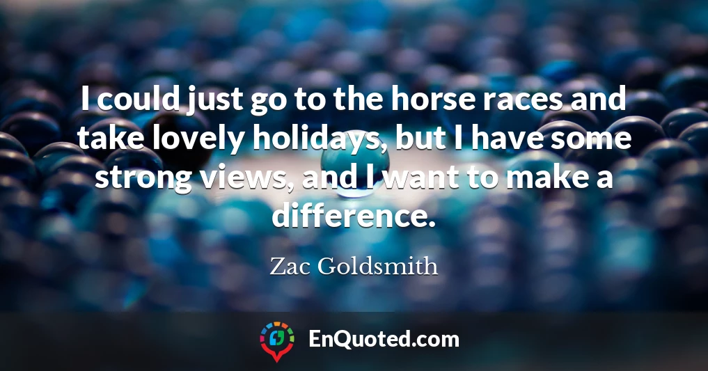 I could just go to the horse races and take lovely holidays, but I have some strong views, and I want to make a difference.