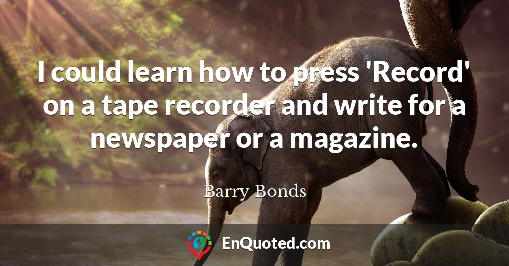 I could learn how to press 'Record' on a tape recorder and write for a newspaper or a magazine.
