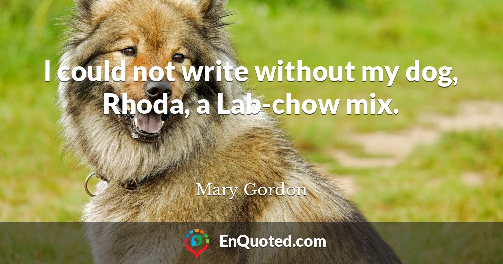 I could not write without my dog, Rhoda, a Lab-chow mix.