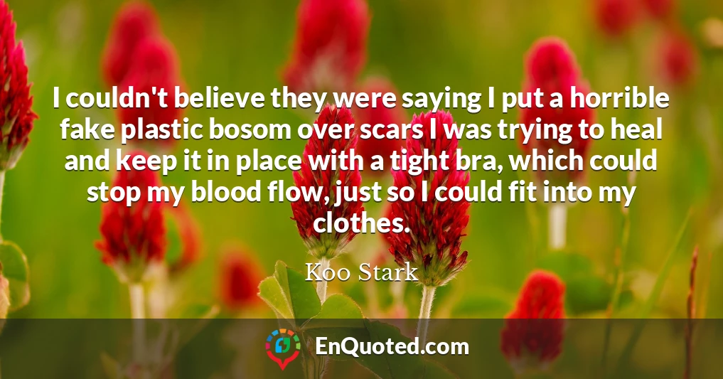 I couldn't believe they were saying I put a horrible fake plastic bosom over scars I was trying to heal and keep it in place with a tight bra, which could stop my blood flow, just so I could fit into my clothes.