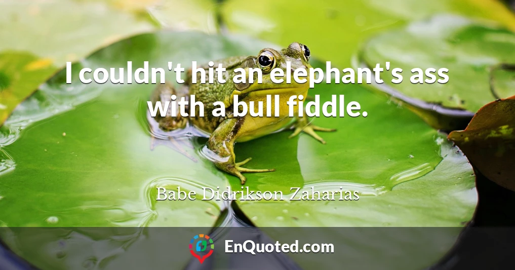 I couldn't hit an elephant's ass with a bull fiddle.