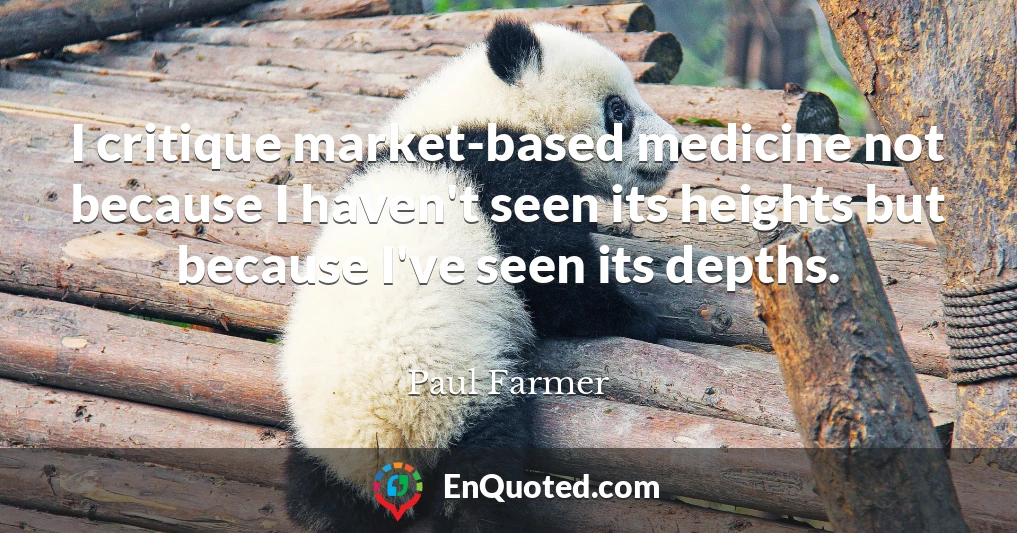 I critique market-based medicine not because I haven't seen its heights but because I've seen its depths.
