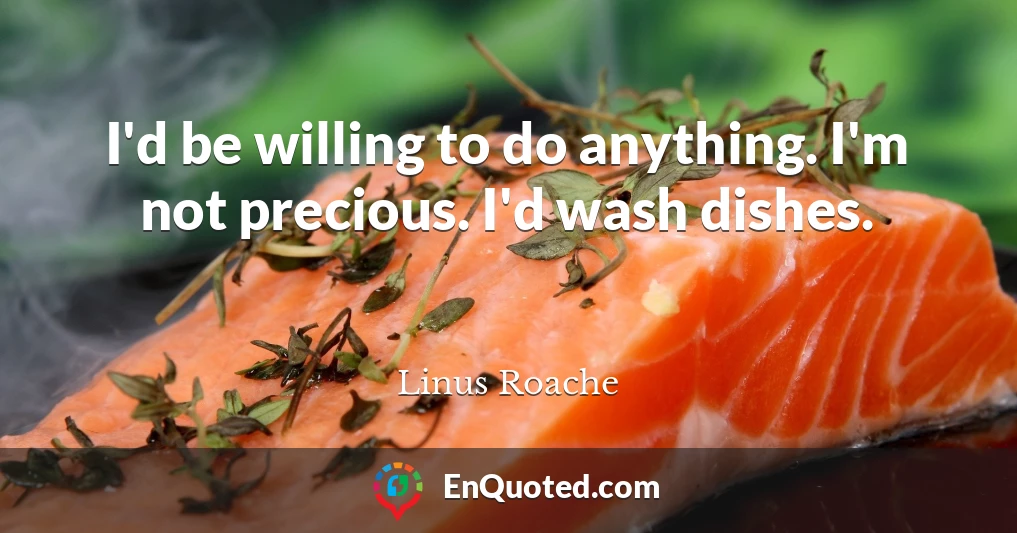 I'd be willing to do anything. I'm not precious. I'd wash dishes.