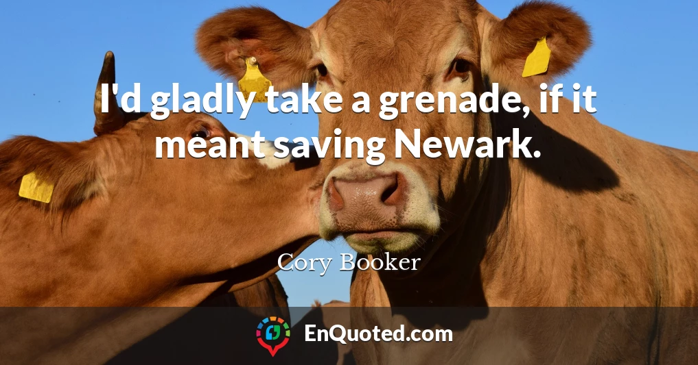 I'd gladly take a grenade, if it meant saving Newark.