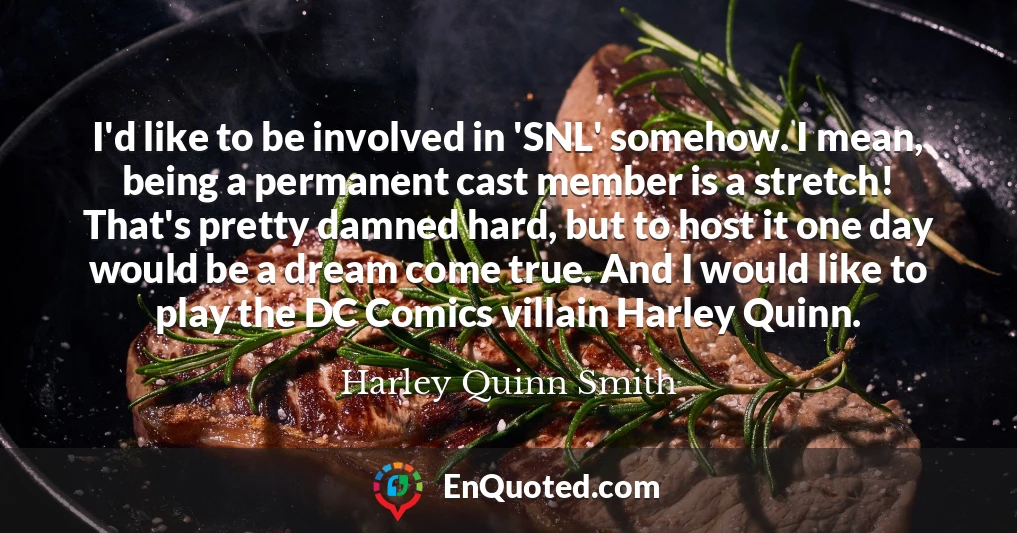 I'd like to be involved in 'SNL' somehow. I mean, being a permanent cast member is a stretch! That's pretty damned hard, but to host it one day would be a dream come true. And I would like to play the DC Comics villain Harley Quinn.