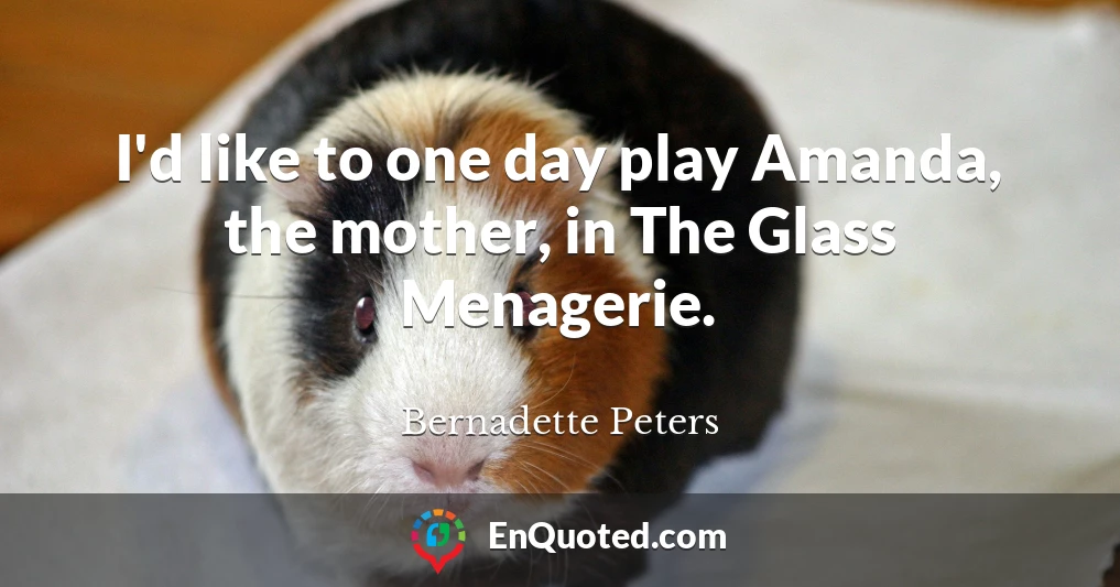 I'd like to one day play Amanda, the mother, in The Glass Menagerie.