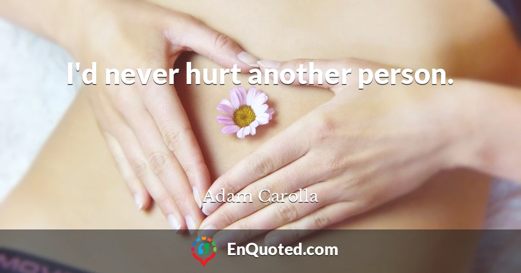 I'd never hurt another person.