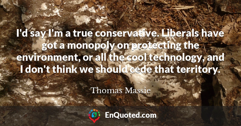 I'd say I'm a true conservative. Liberals have got a monopoly on protecting the environment, or all the cool technology, and I don't think we should cede that territory.