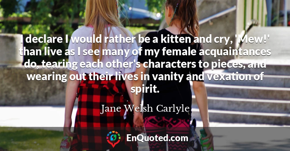 I declare I would rather be a kitten and cry, 'Mew!' than live as I see many of my female acquaintances do, tearing each other's characters to pieces, and wearing out their lives in vanity and vexation of spirit.