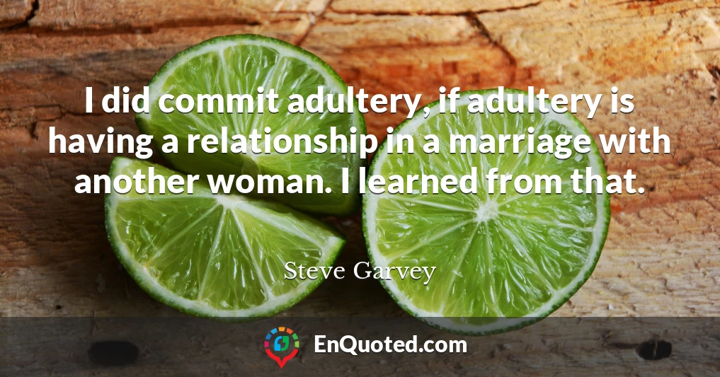 I did commit adultery, if adultery is having a relationship in a marriage with another woman. I learned from that.