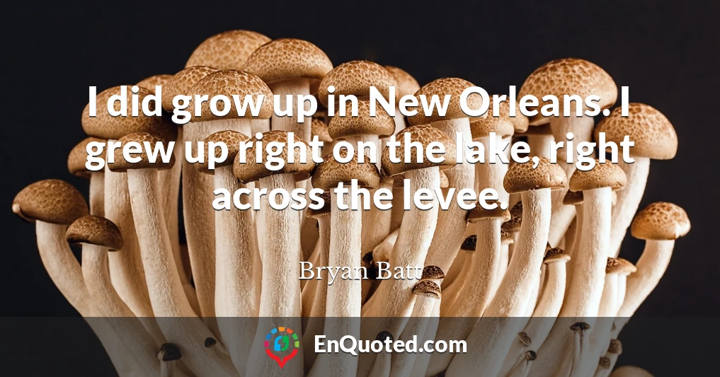 I did grow up in New Orleans. I grew up right on the lake, right across the levee.