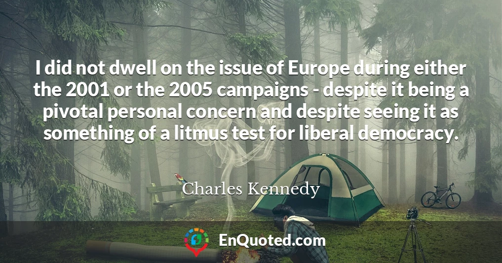 I did not dwell on the issue of Europe during either the 2001 or the 2005 campaigns - despite it being a pivotal personal concern and despite seeing it as something of a litmus test for liberal democracy.