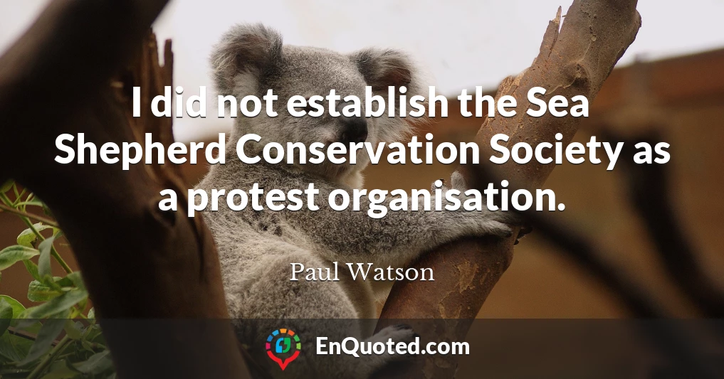 I did not establish the Sea Shepherd Conservation Society as a protest organisation.