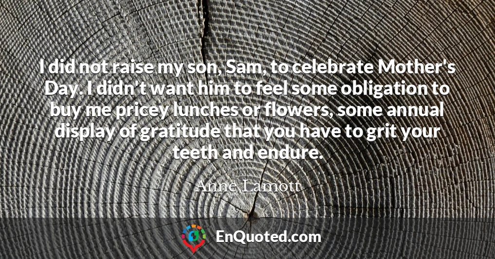 I did not raise my son, Sam, to celebrate Mother's Day. I didn't want him to feel some obligation to buy me pricey lunches or flowers, some annual display of gratitude that you have to grit your teeth and endure.