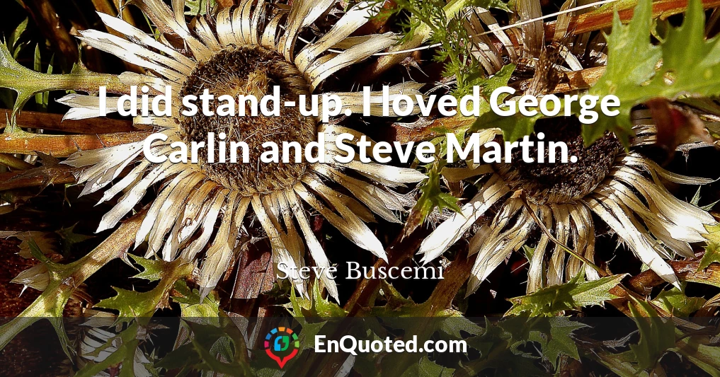 I did stand-up. I loved George Carlin and Steve Martin.