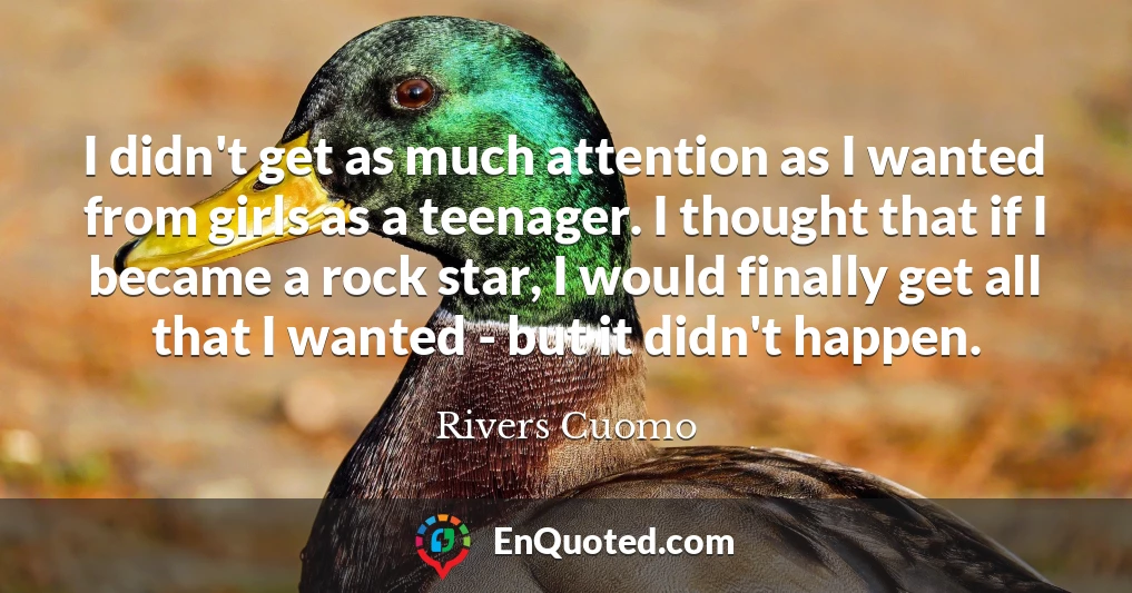 I didn't get as much attention as I wanted from girls as a teenager. I thought that if I became a rock star, I would finally get all that I wanted - but it didn't happen.
