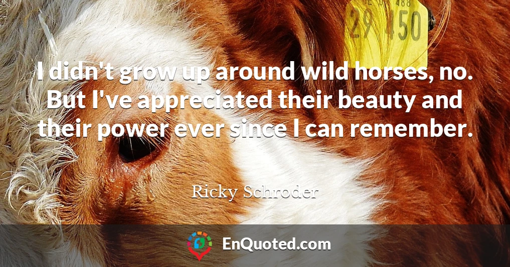 I didn't grow up around wild horses, no. But I've appreciated their beauty and their power ever since I can remember.